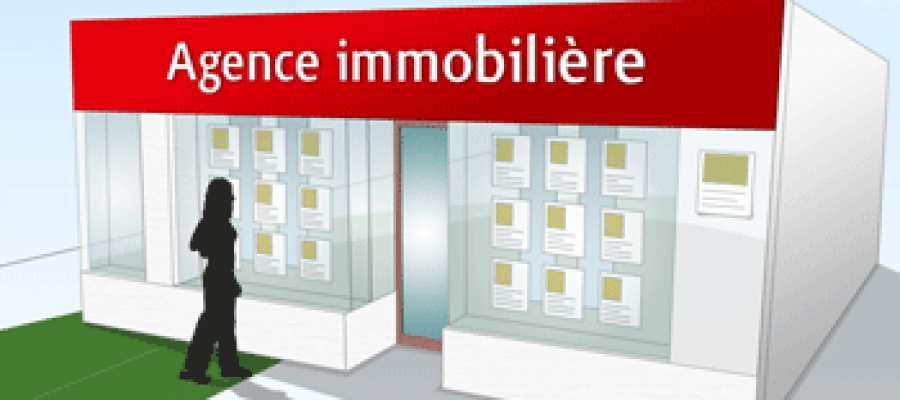 Agence immobilière : rester concurrentiel en conquérant le marché du web