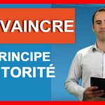 L&rsquo;art de convaincre les consommateurs